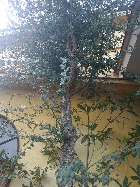 P_20180118_135519.jpg